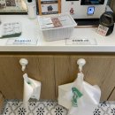 채선당 도시락&샐러드 밀키트24 광주조선대점 이미지