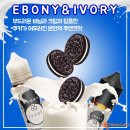 솔트라인 이미지
