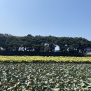 제주 올레길 15코스 B | 제주올레길 15-B코스 후기(한림항-고내포구)