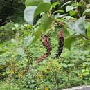 삼척들레펜션 이미지