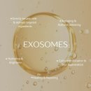 가토헤어(미용그룹가토) | 엑소좀 헤어 테라피 3회차 관리 후기 @SMP스튜디오 수원본점