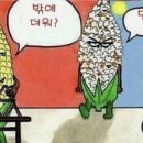 최고김밥 이미지