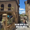 산너머 민박 | 넷플릭스 이사랑통역되나요 촬영지 | 이탈리아 중부 토스카나 치비타 디 반뇨레조 시에나 🌳