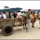 달구지 이미지
