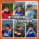 창동백호태권도장 이미지