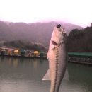 거두리낚시터 이미지