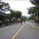 불갑산(푸른산악회 2012.9 정기산행) 이미지