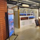 소노펠리체 델피노 이미지