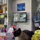 하선약국 이미지