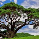 효성 중앙하이츠아파트 이미지