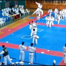 마루한태권도 이미지