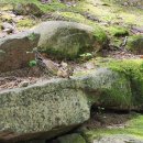 장척계곡식당 이미지