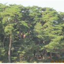 초당동주민센터 이미지