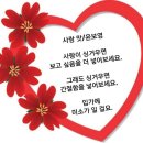 산야초 효소및효능 ㅡ98종류중ㅡ 무릇 혈액순환 관절염ㅡ 쑥 위장을 다스림ㅡ 막살이* 해독 기관지ㅡ 폐를다스림ㅡ 곰보배추*기침 감기 이미지