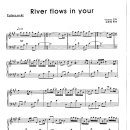 Yiruma / River flows in your 이미지