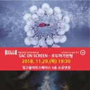 호두까기인형(스크린 영상) Daum카페