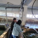 기동반-2 이미지