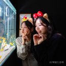 포토월드  스튜디오 이미지