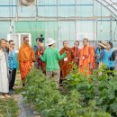 행자농장 이미지