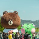 브라운스프링 이미지