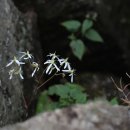 방태산 가는 길 이미지