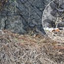 원주시청 이미지