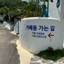 롤링핀 대구수목원점 이미지