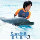 돌핀블루 | 돌핀 블루 바다와 돌고래 생태주의 철학 사회적 울림