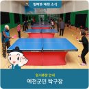 예천군민탁구장 네이버블로그