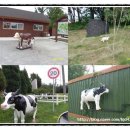 태신농장 이미지