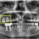 연우치과의원 이미지