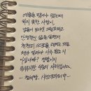 샐러드컬쳐