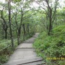 배내배내 이미지