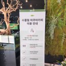 [아쿠아카페] 아이랑 가기 좋은 재방문 의사 100% 수풀림 아쿠아카페 후기