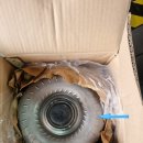 기아오토밋션 | 더뉴K9 8단오토미션수리 전진안됨 미션슬립 후진안됨 변속충격 울컥울컥거림 떨림 정차후떨림 P로안들어...