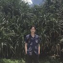 택곡 헤럴드경제