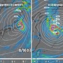 6호태풍의 진로가 아직도~? 이미지