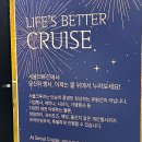 들의교 | 여의도 크루즈 선상에서 바라보는 한강 야경 유람선 데이트 서울크루즈 후기