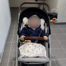 지니하우스 | [내돈내산] 휴대용 유모차 추천 | 와이업 지니에스3 오트밀 | 사용 구매후기 | 베이비하우스 청라점