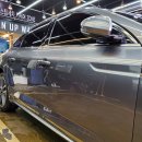 수곡효태권도 이미지