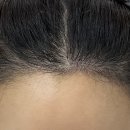 바람부는날에도 성형외과의원 이미지