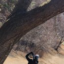 그린파크장 이미지