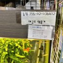 새한플라워 이미지