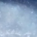 생쥐 정자 관찰 이미지