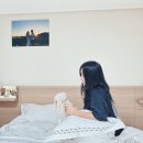 팀 펜로즈 | 겨울이불 브랜드 크라운구스 특급 호텔침구 세트 침실 인테리어 교체