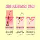 백합뷰티의원 이미지