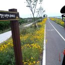 경산자전거오아시스 Daum카페