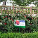 구목정공원 이미지