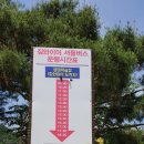 아리힐스(짚와이어) 이미지