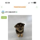 존나귀엽당 이미지
